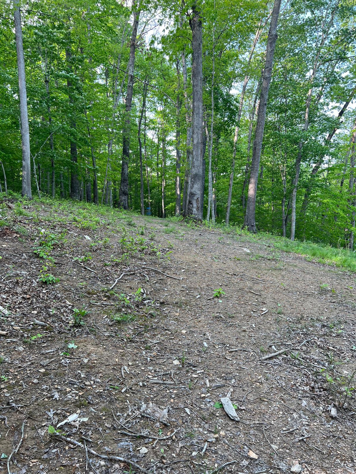 Hole 13 Mid-Fairway