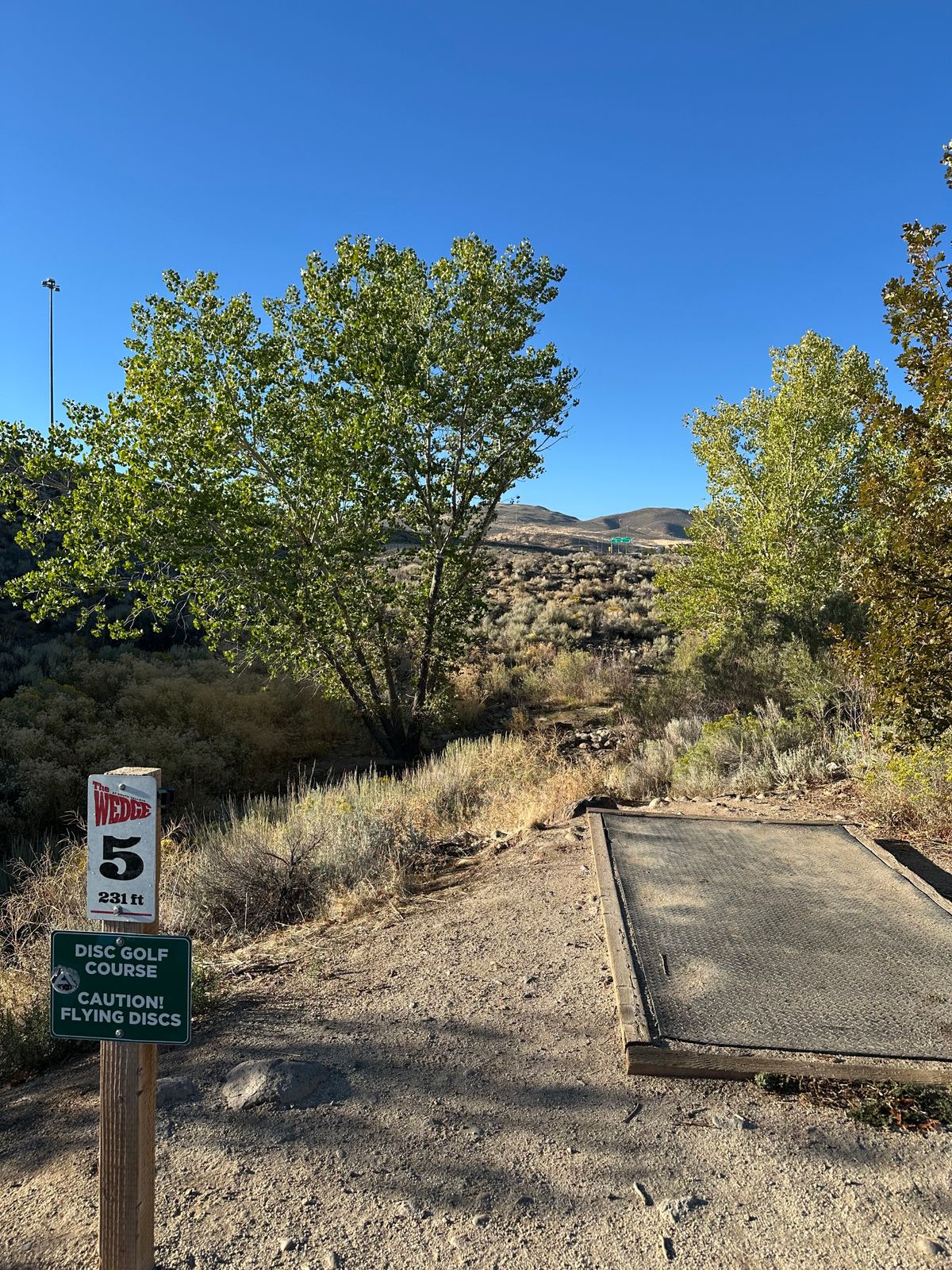 Tee pad 5