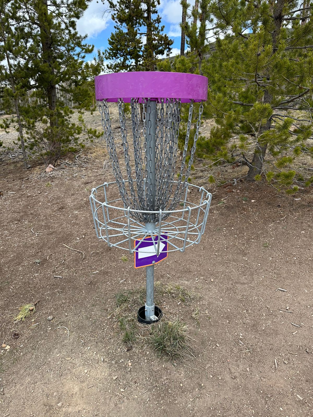 Hole 6 Basket