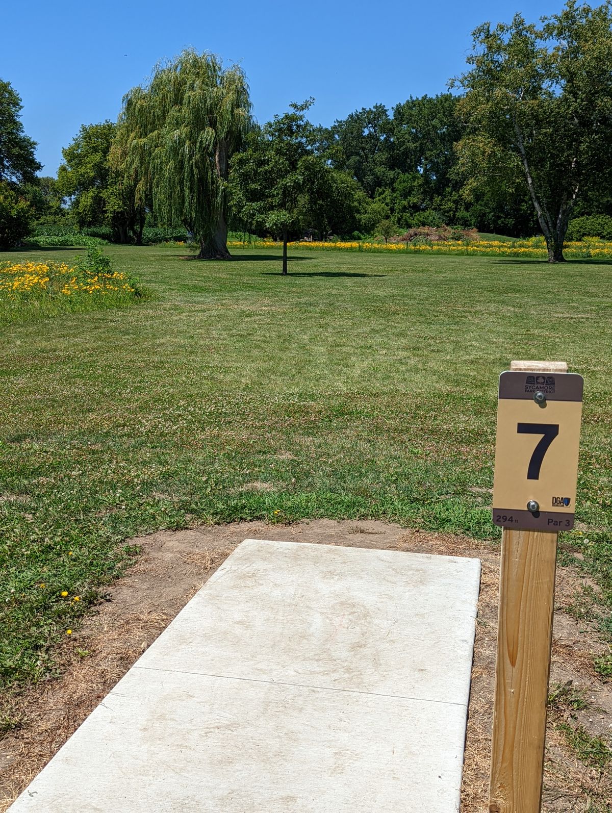 Hole 7. 294 ft, par 3. Basket behind large tree on the left.