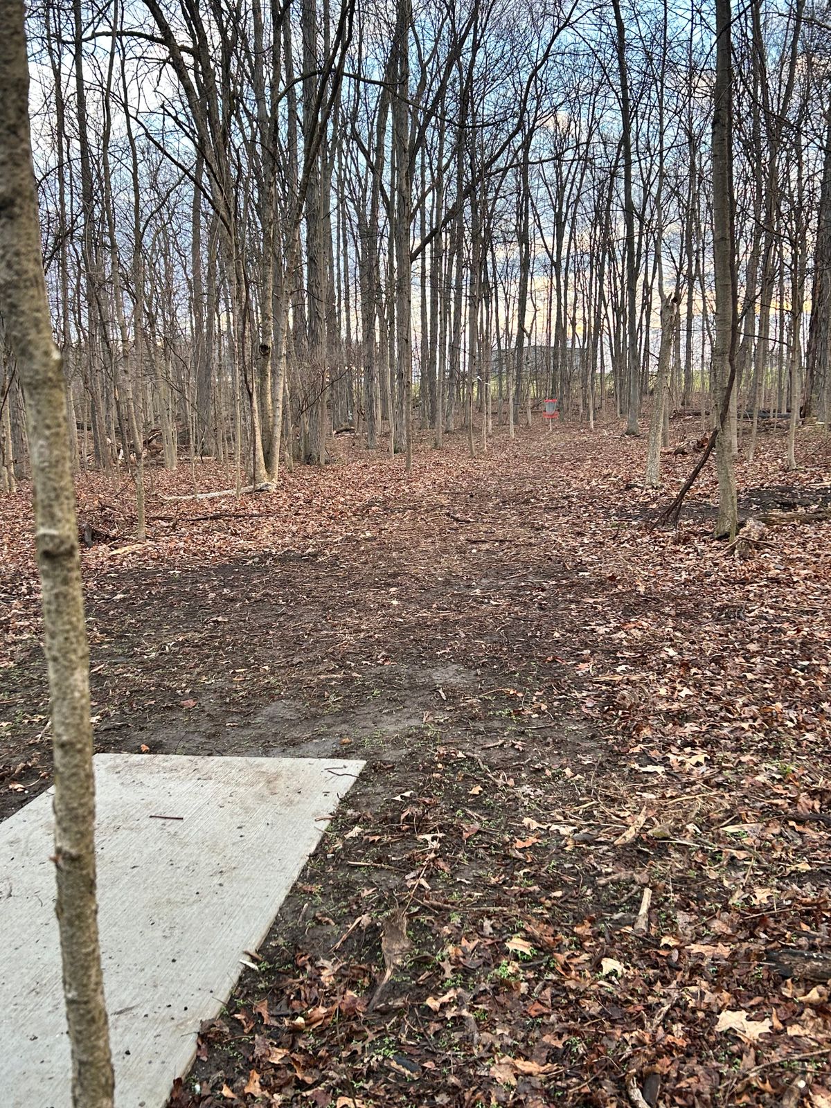 Hole 16