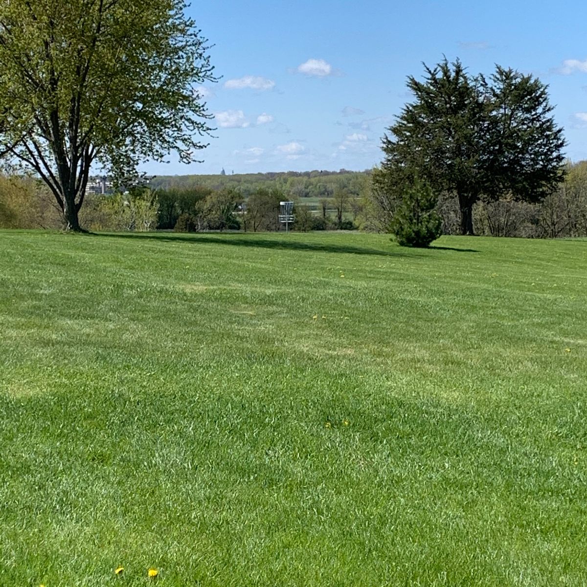 Hole #4