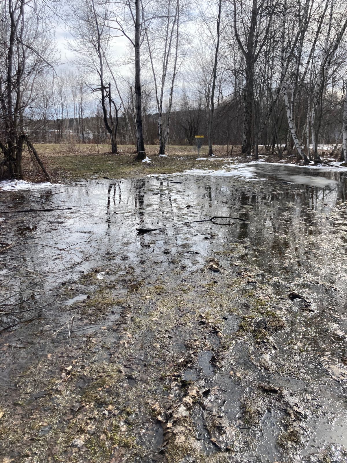 Muddy conditions in March