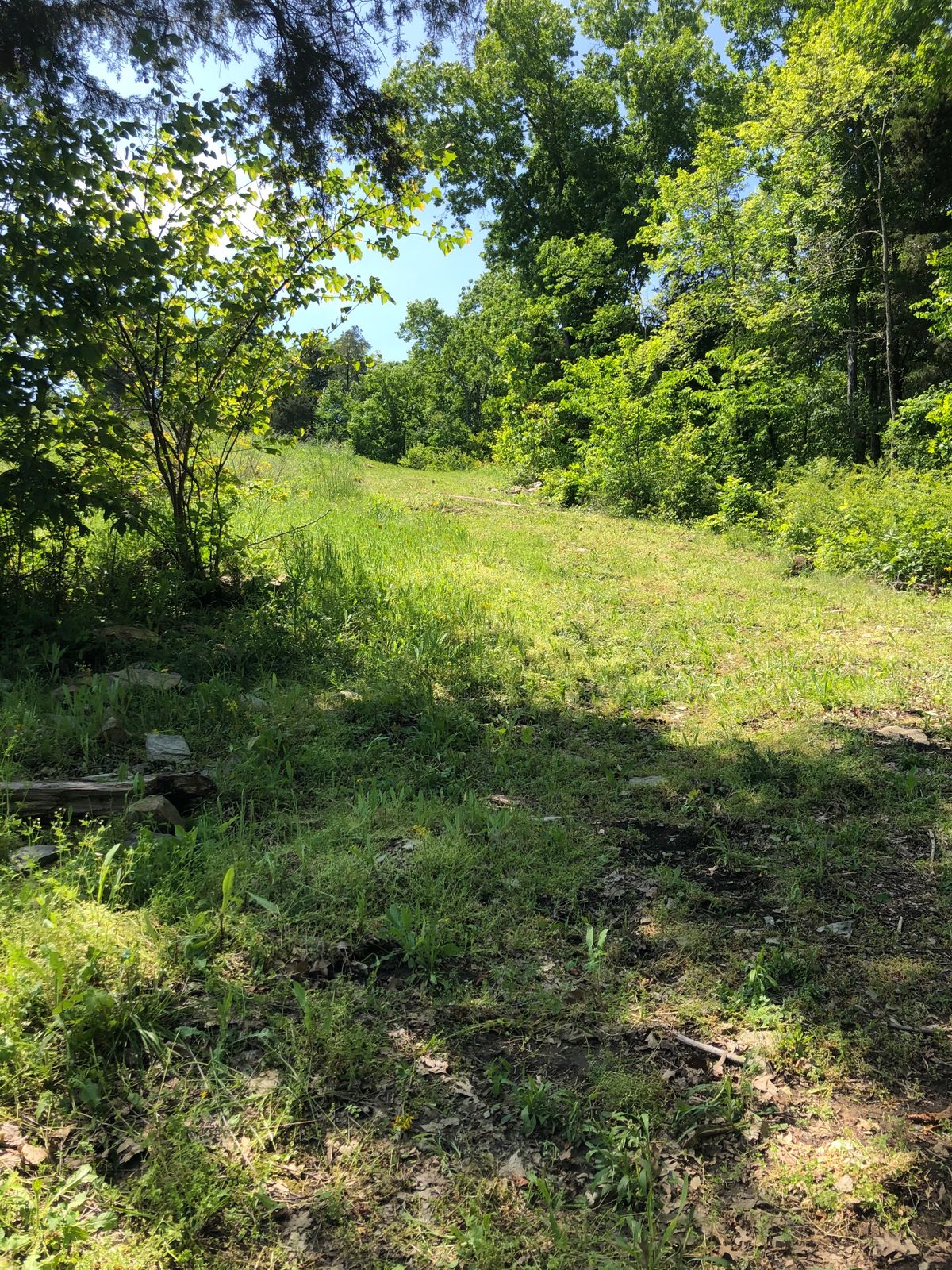 Hole 14