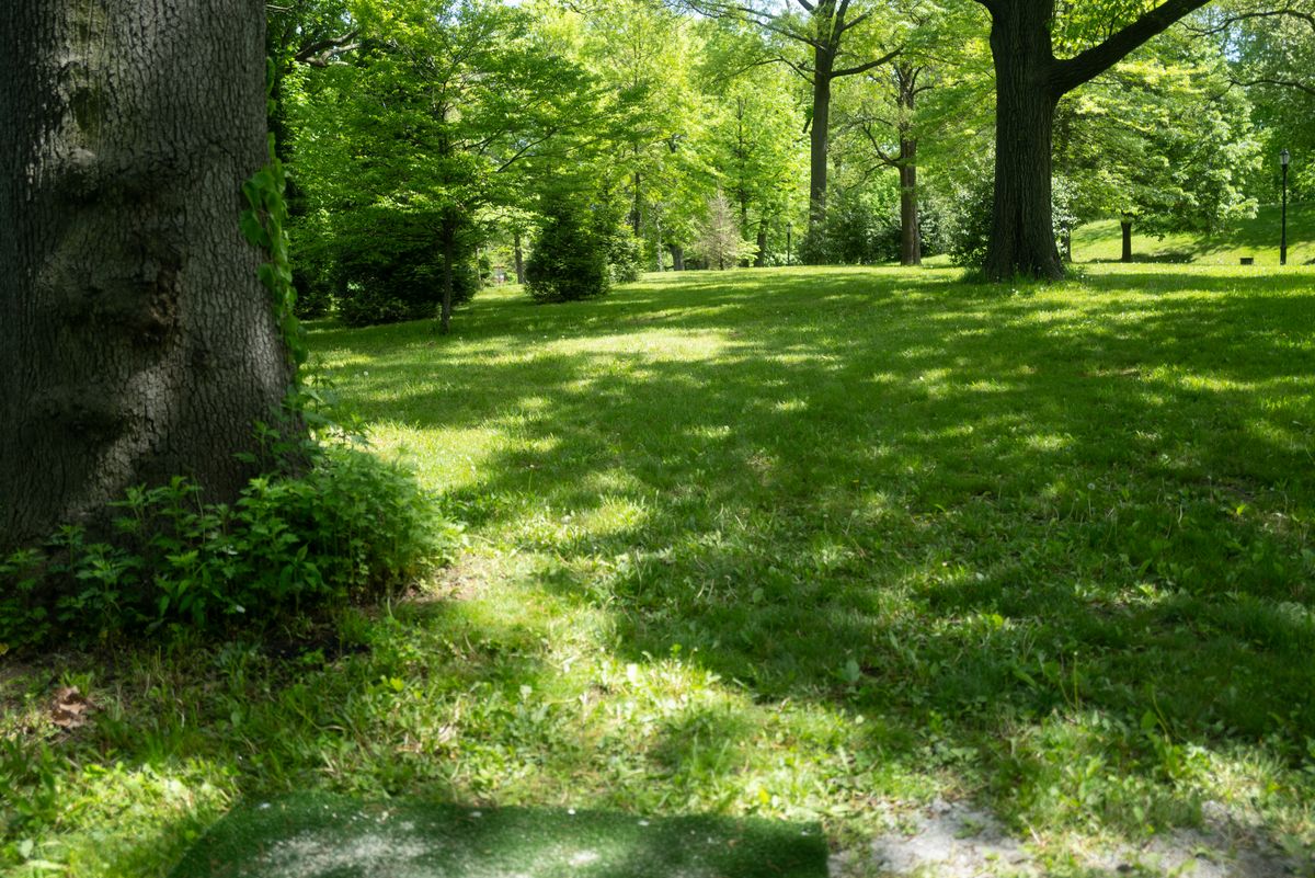 Hole 3 from teepad
