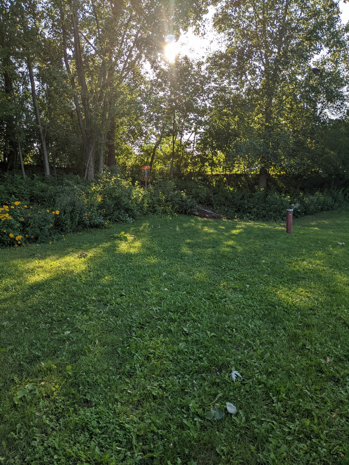 Hole 9 basket