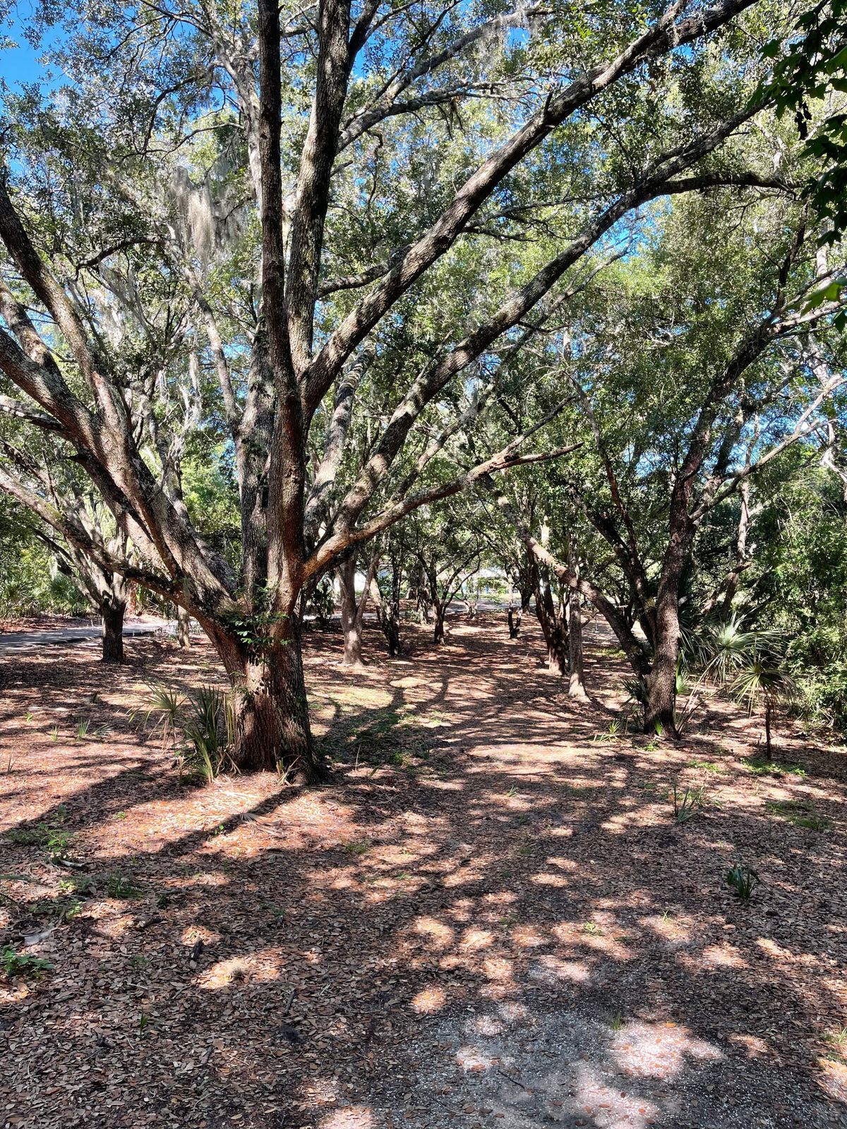 Hole 4 Fairway