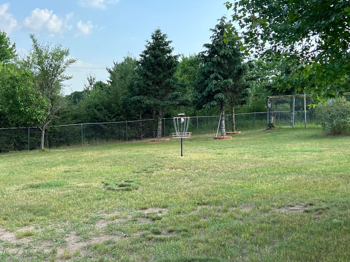 Between the shed and maple….dogs usually hope you throw in fence OB