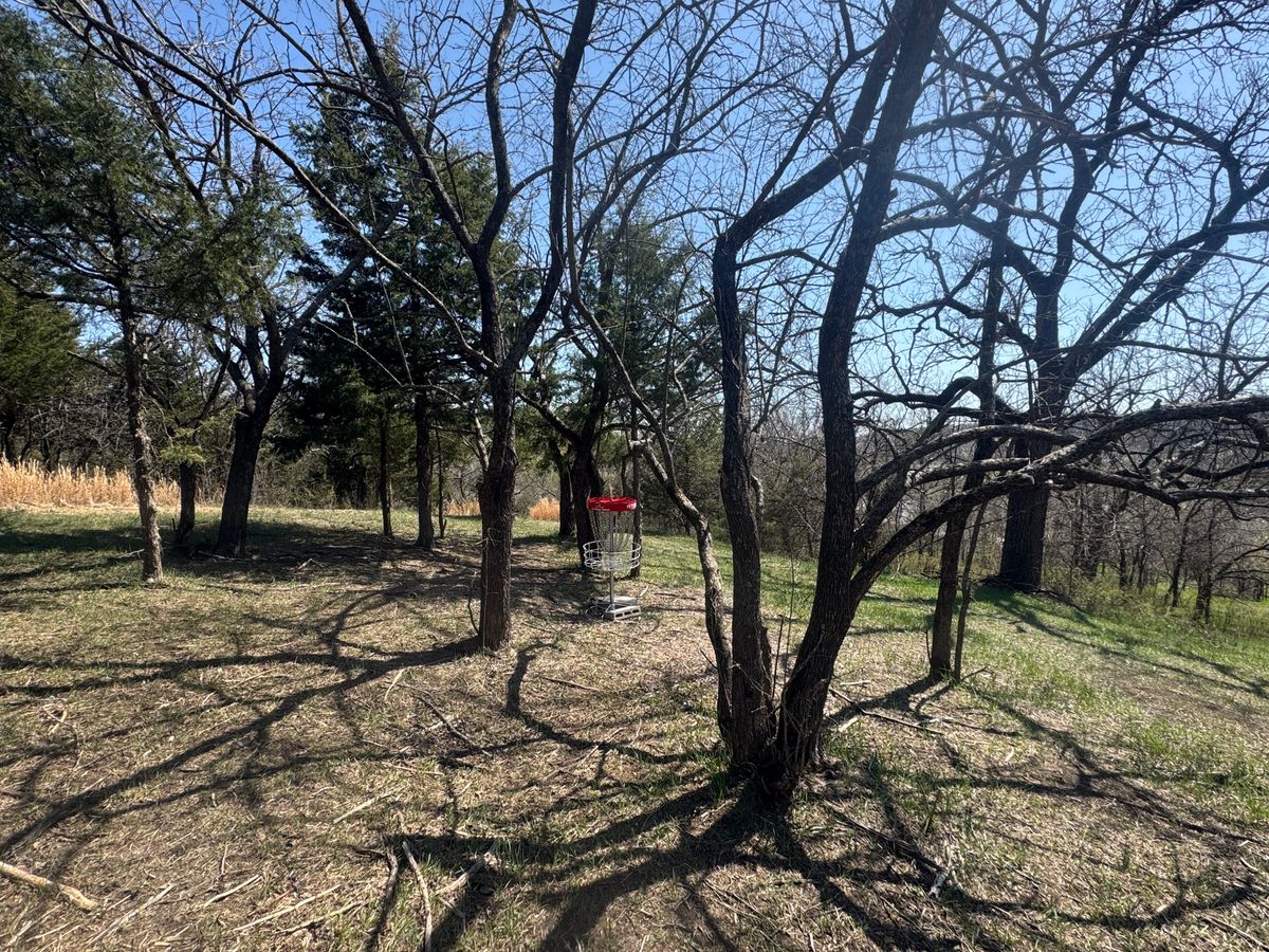 17 has a looong open fairway but…. Still has a guardian or two once you get to the basket