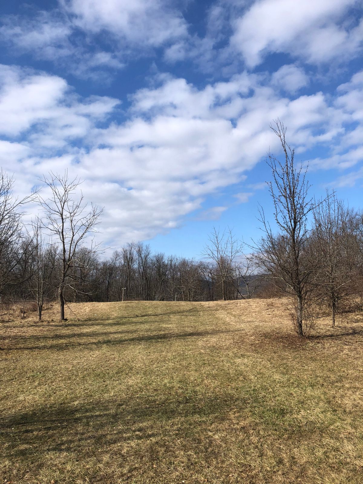 View from halfway up fairway