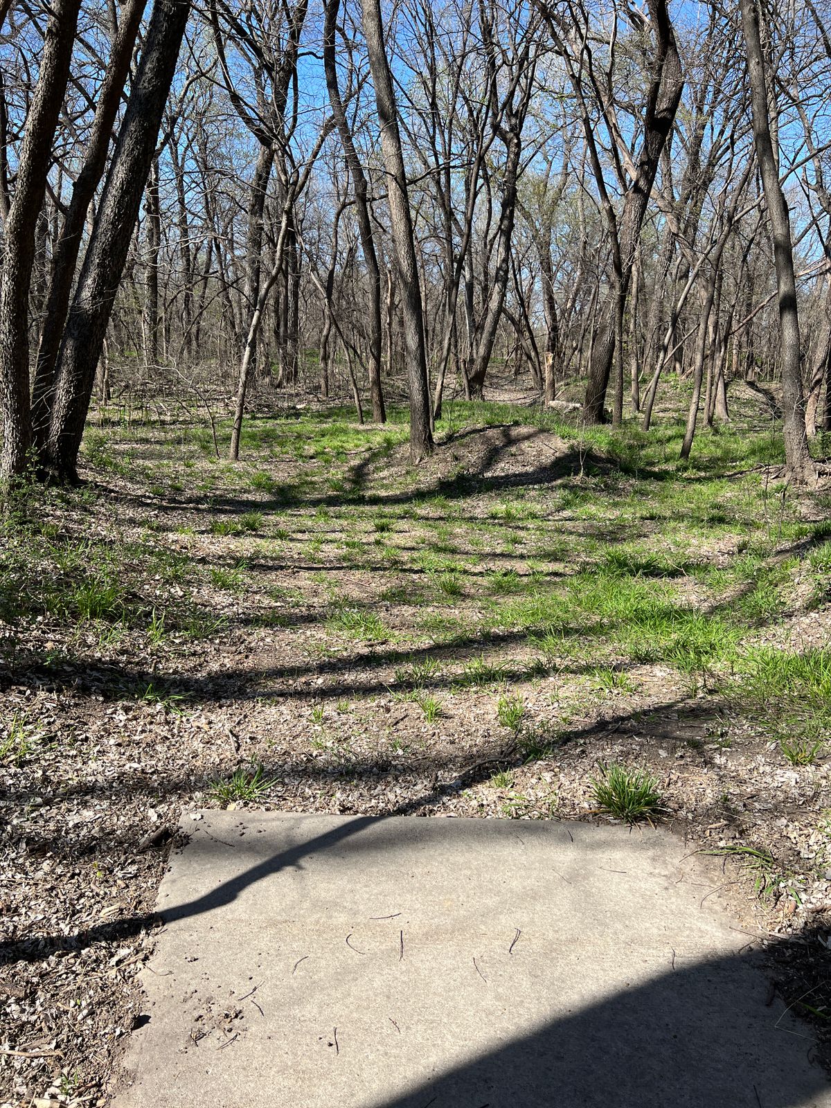 Hole 12