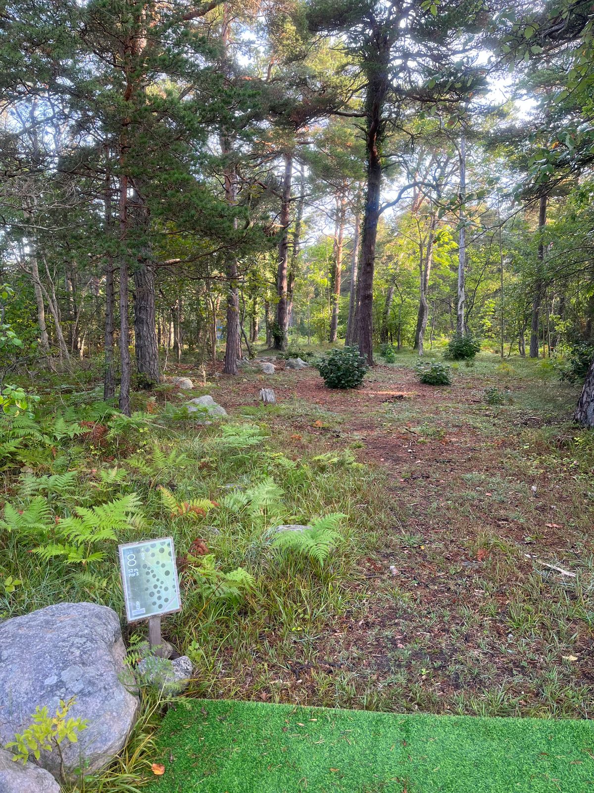 Hole 8