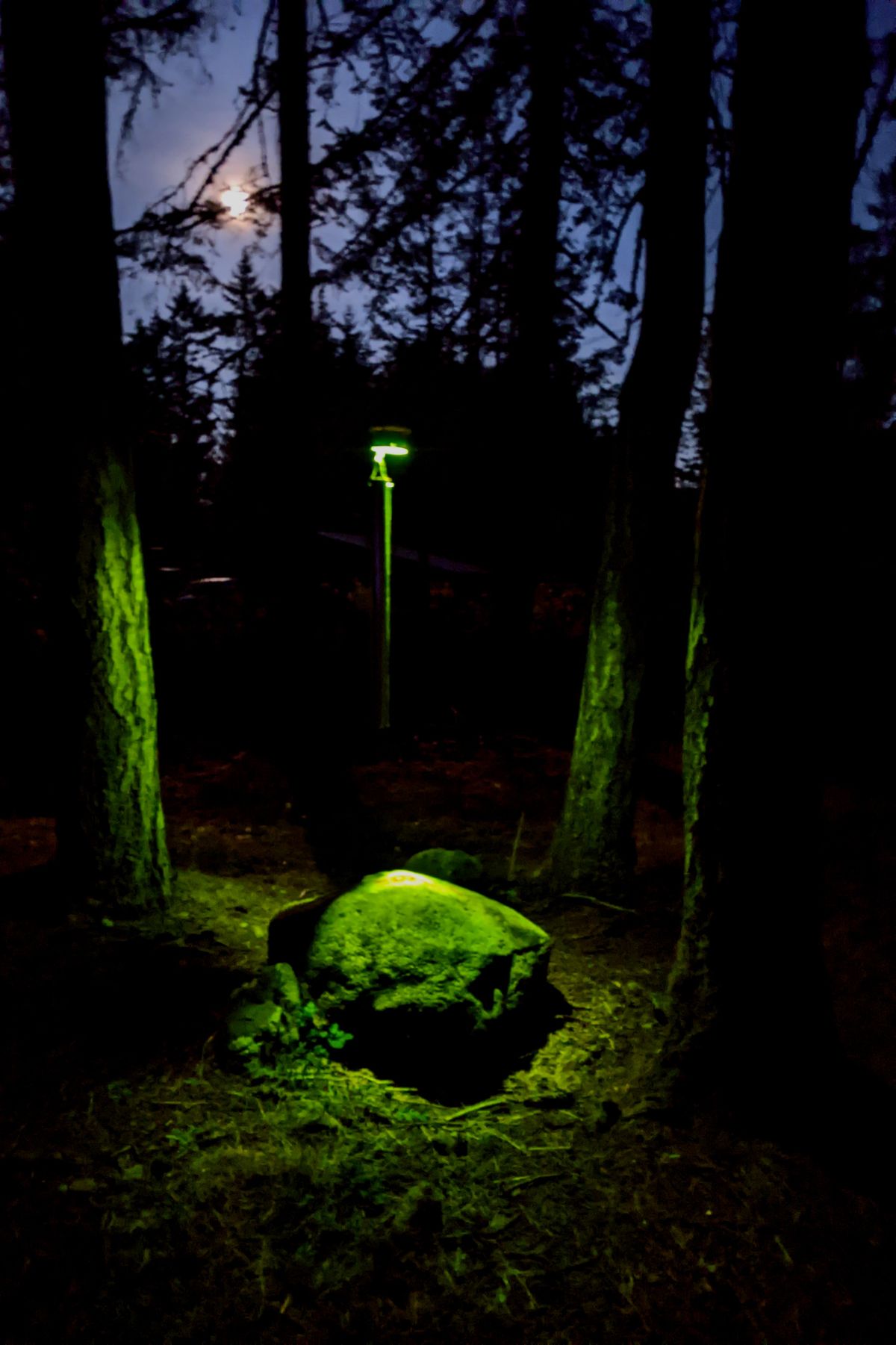 Night shot of the tonal on Hole 5 of the GLOW layout.