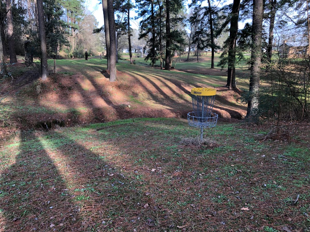 Hole 7 Basket