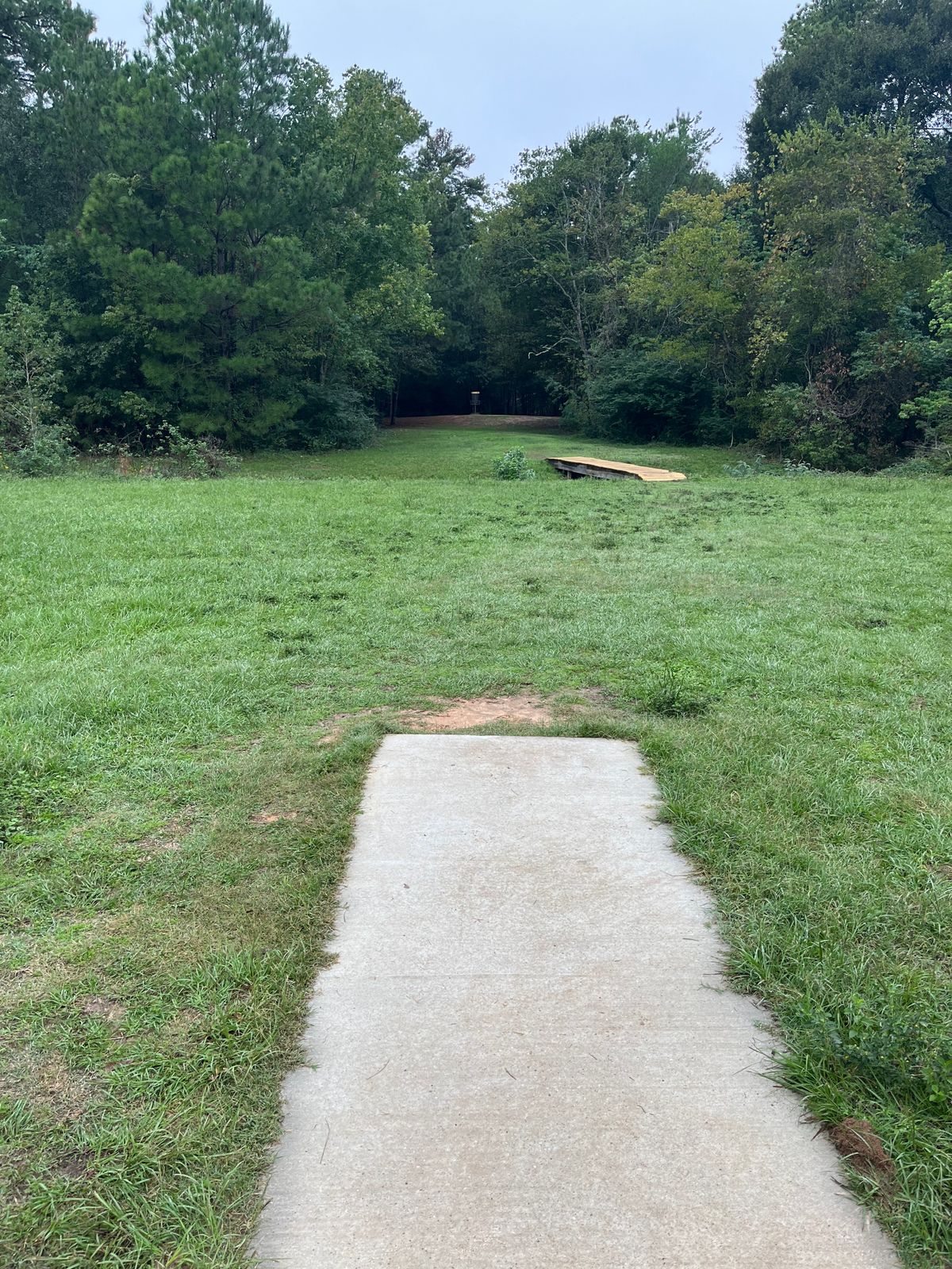 Hole 12 11/11/23