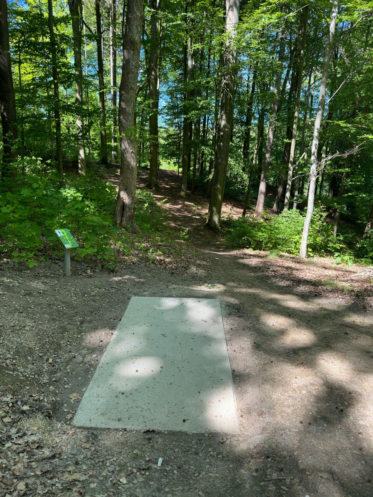 Hole 8