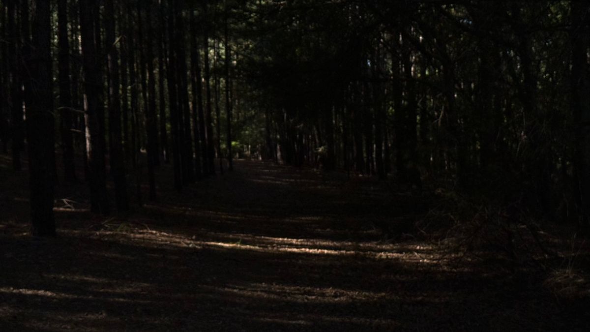Hole 6