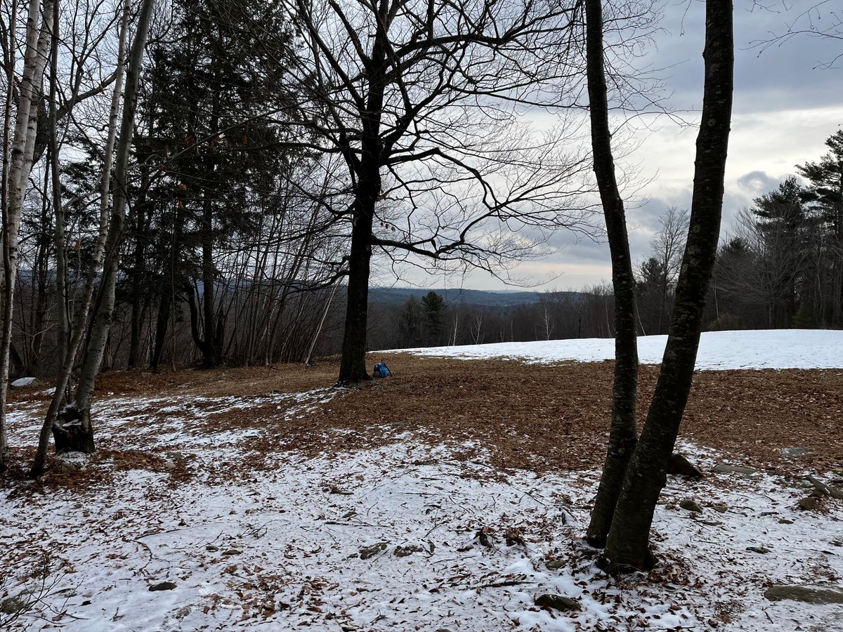 View from hole 10 basket