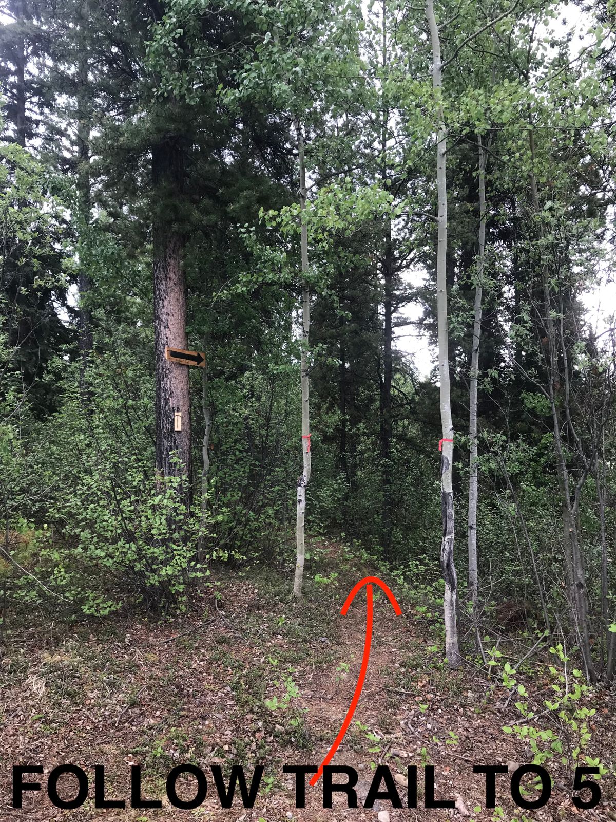 Trail to 5