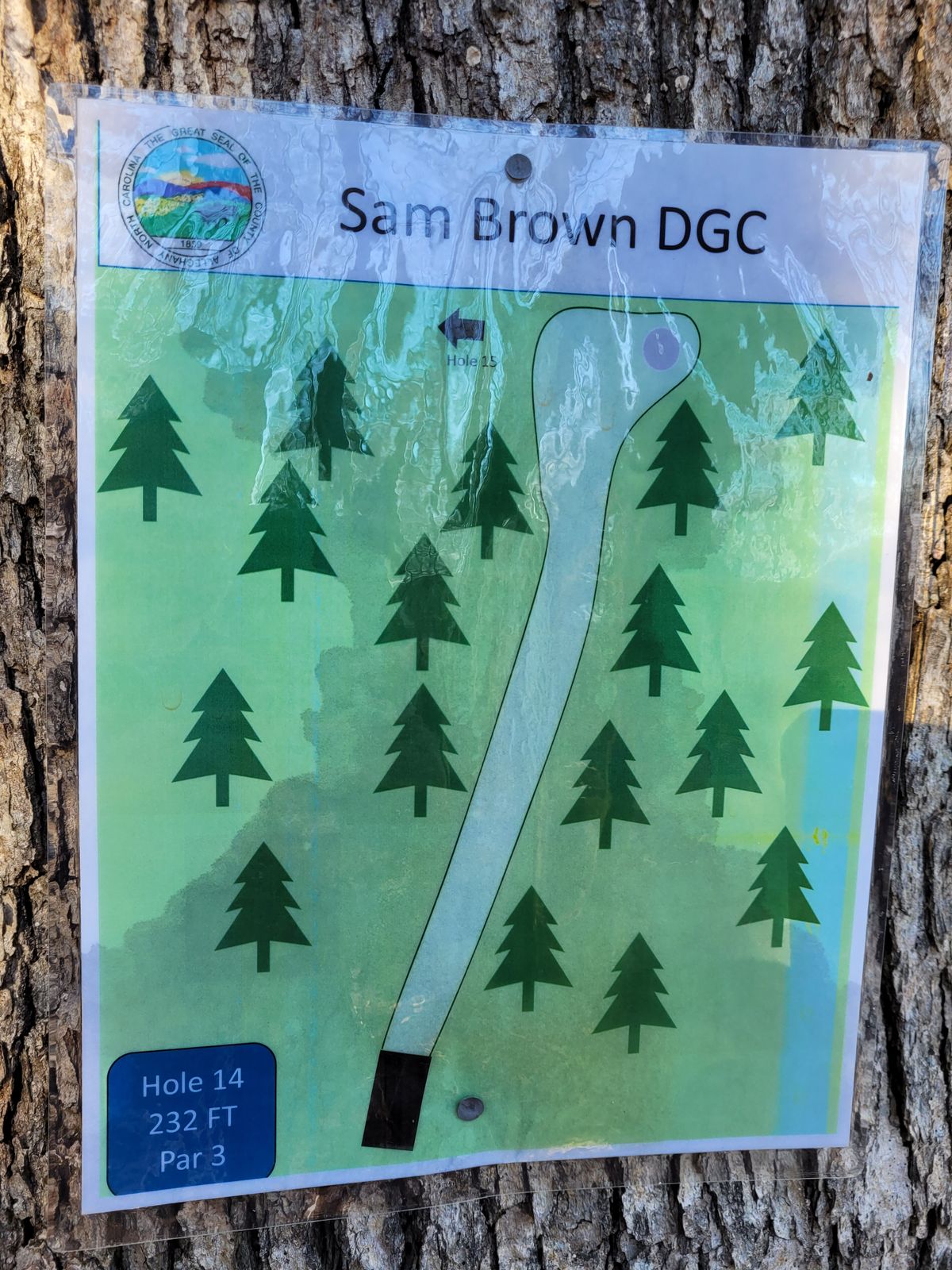 Hole #14 map