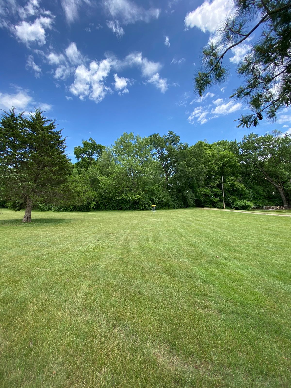 Hole 14 Green