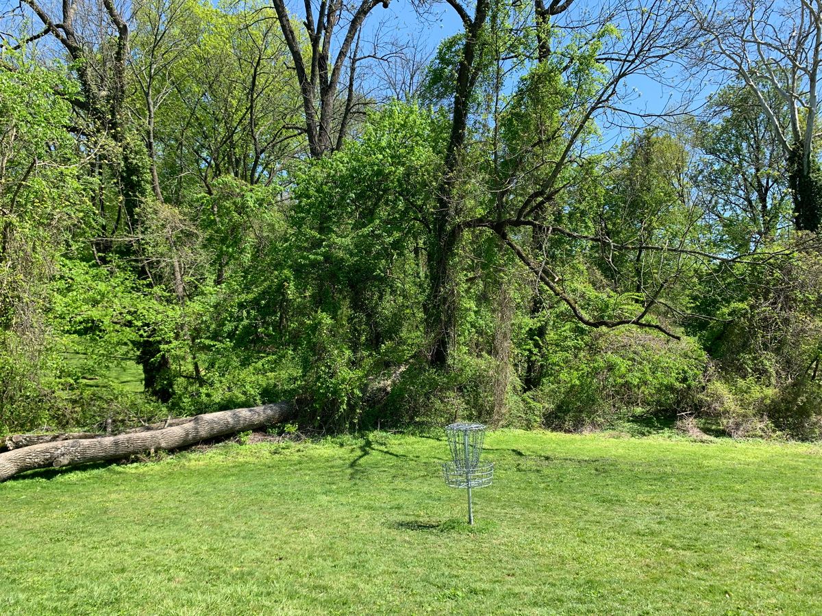 Hole 6 basket. Hole 7 tee is to the right.