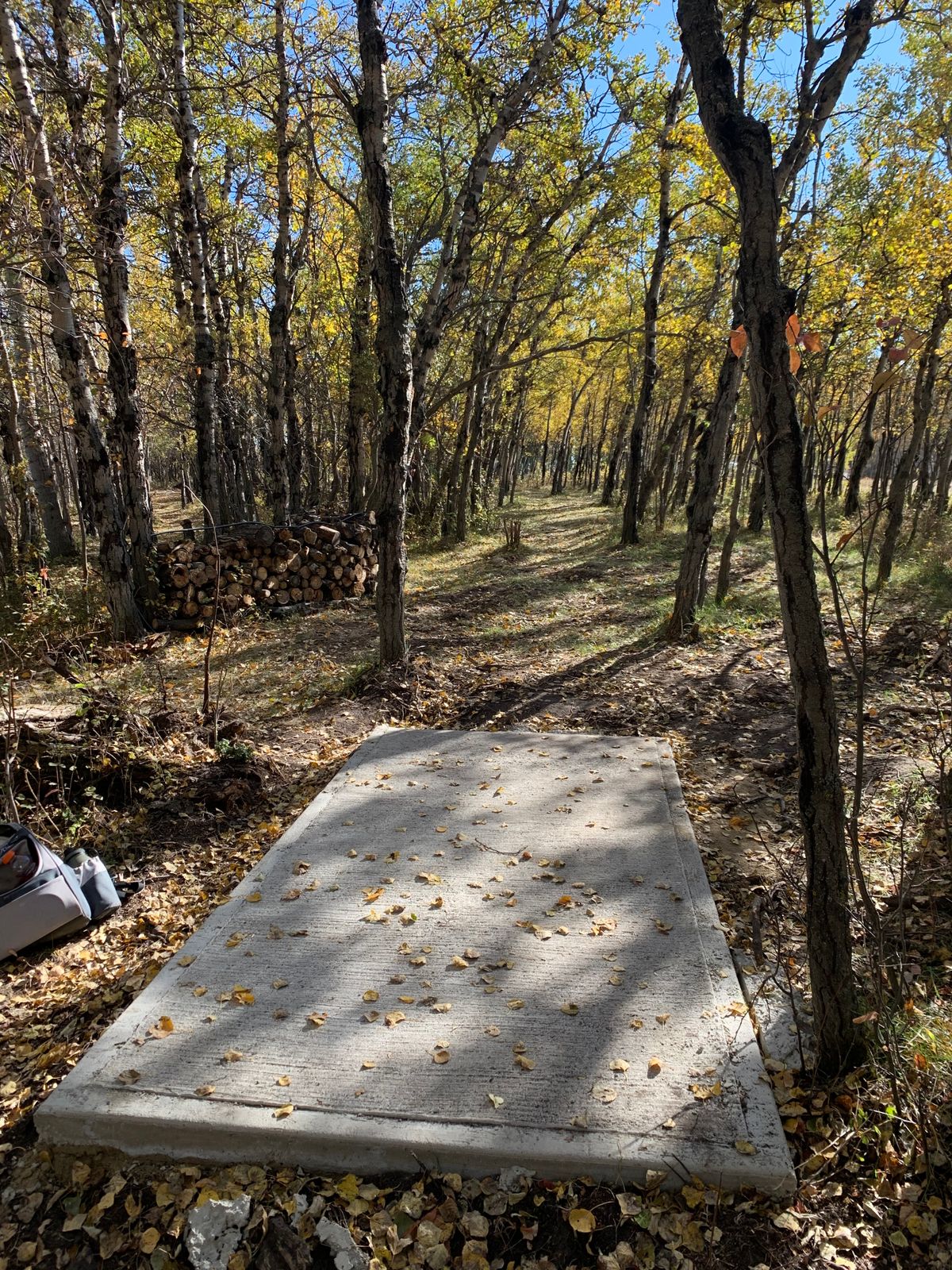 Tight forest lines