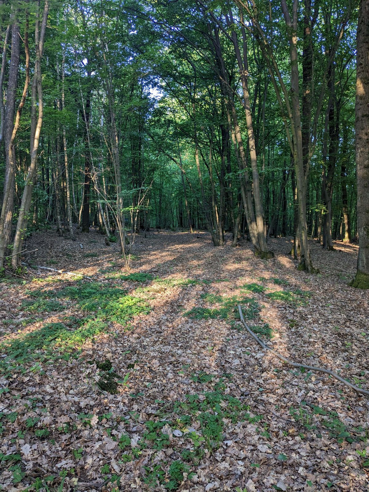 Hole 4