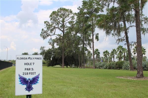 Hole 7 tee box