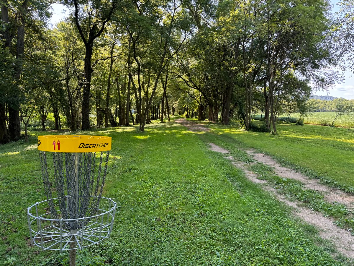 Hole 11 Basket to Tee