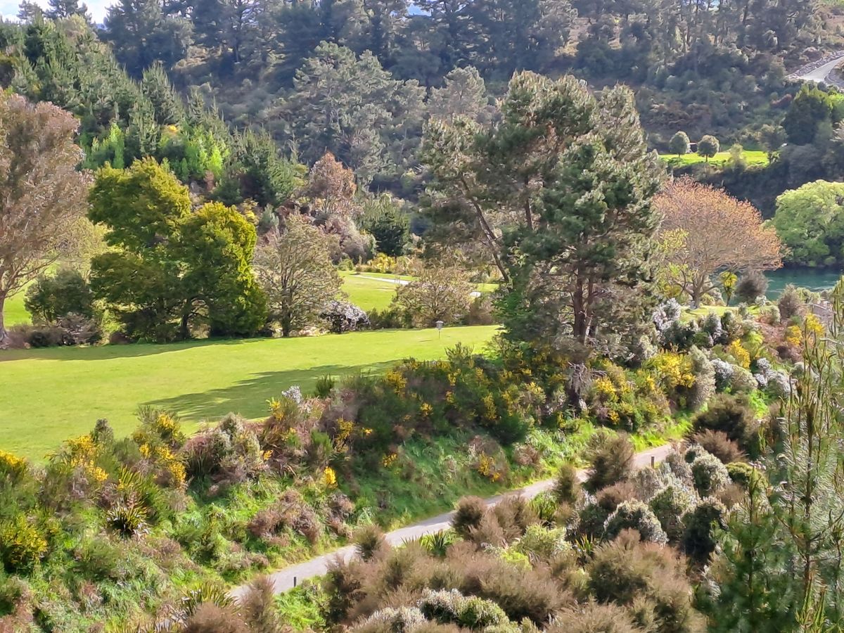 Iconic peninsula hole as seen from nearby mountain bike track. Mighty Waikato river in background.