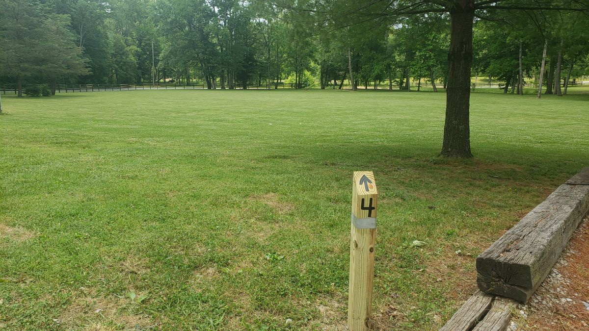 Hole 4