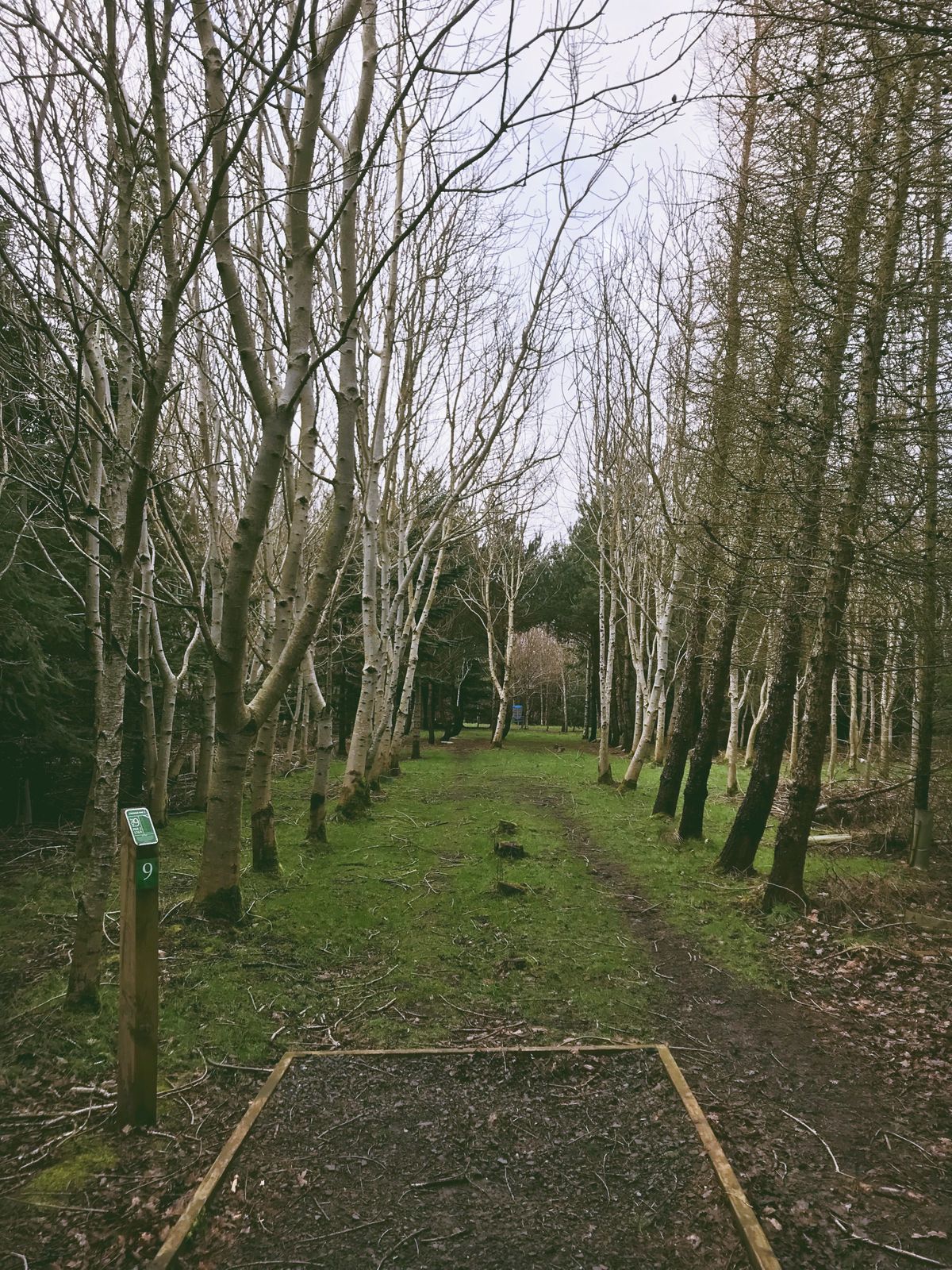 Tee box for hole #9