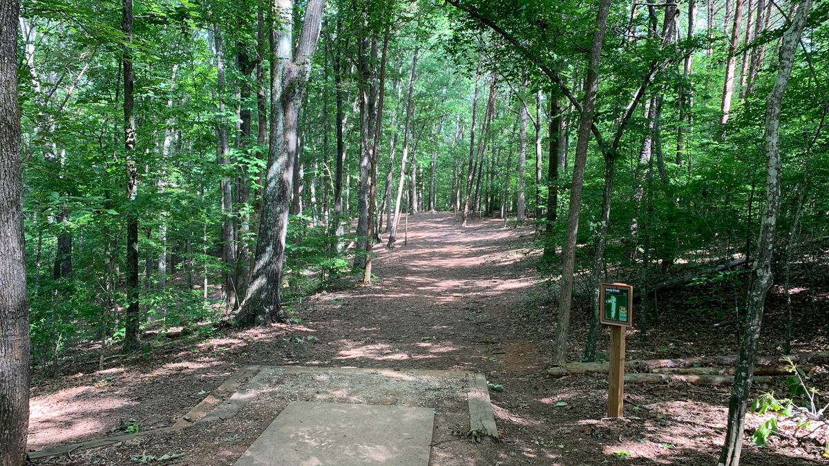 Hole 15