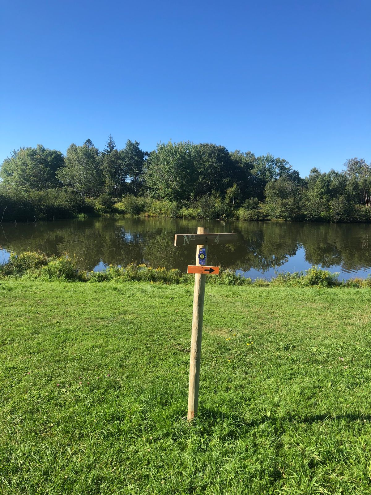 Hole 4 tee