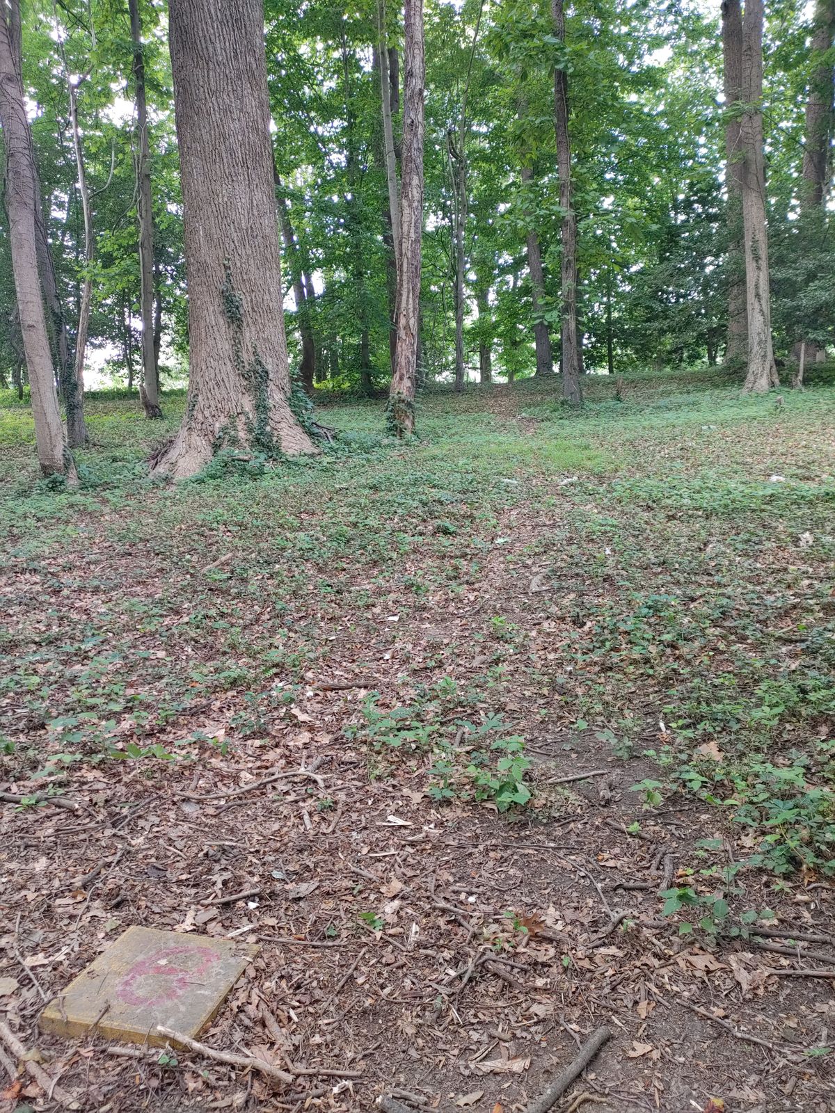 Sixth tee