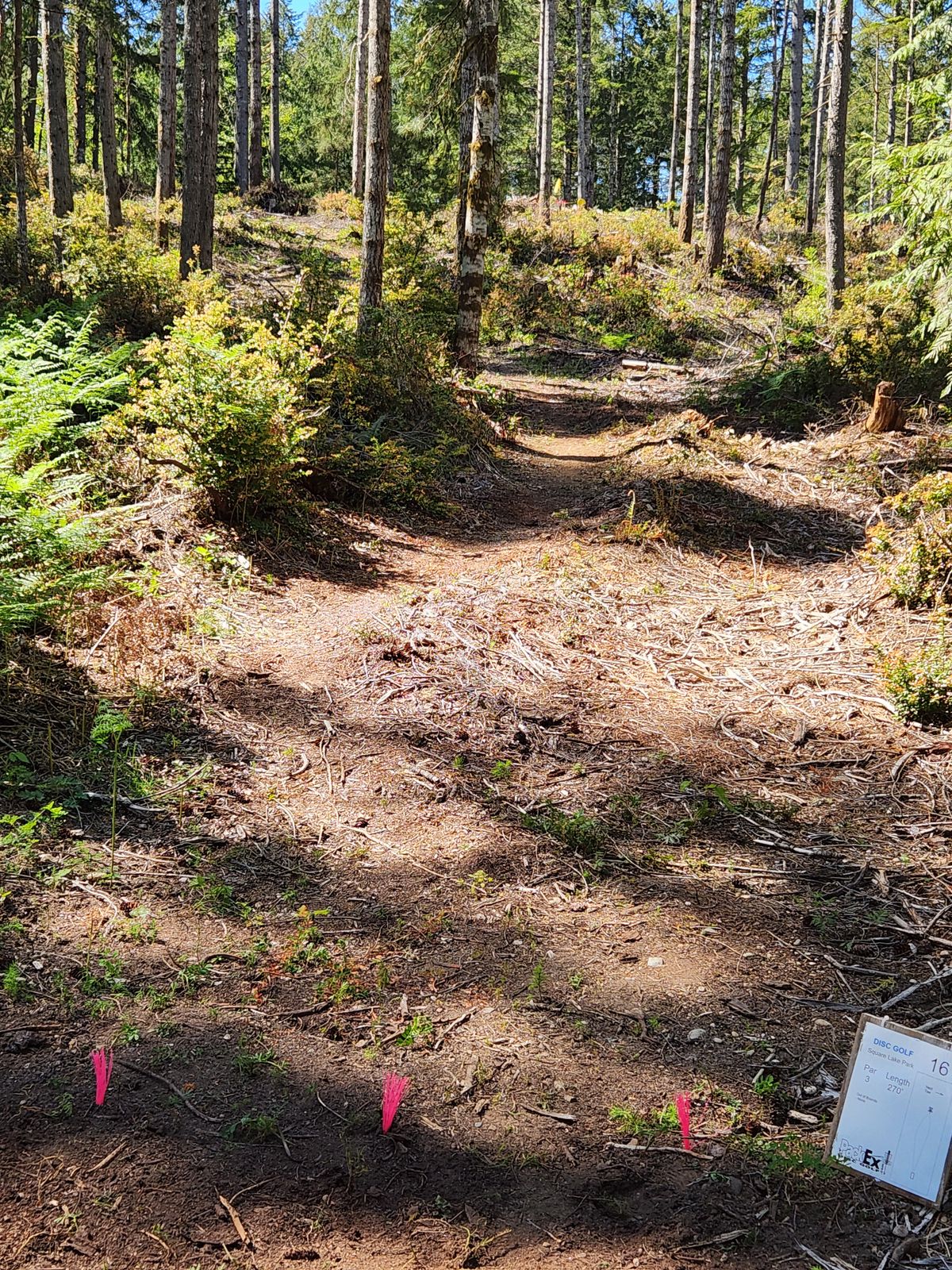 Hole 16 Fairway