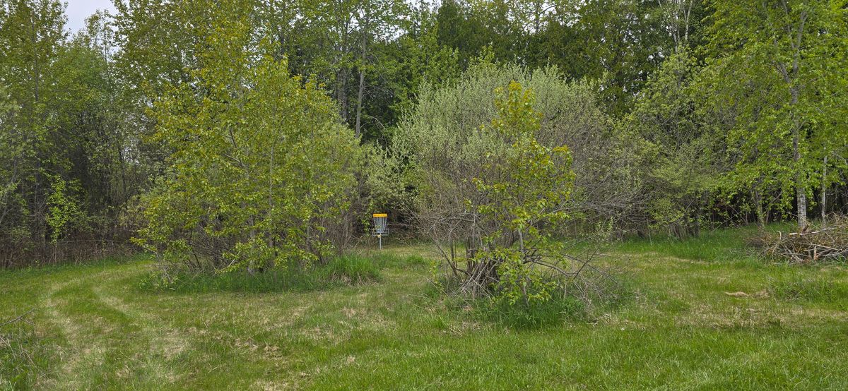 Hole 1 basket