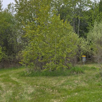 Hole 1 basket