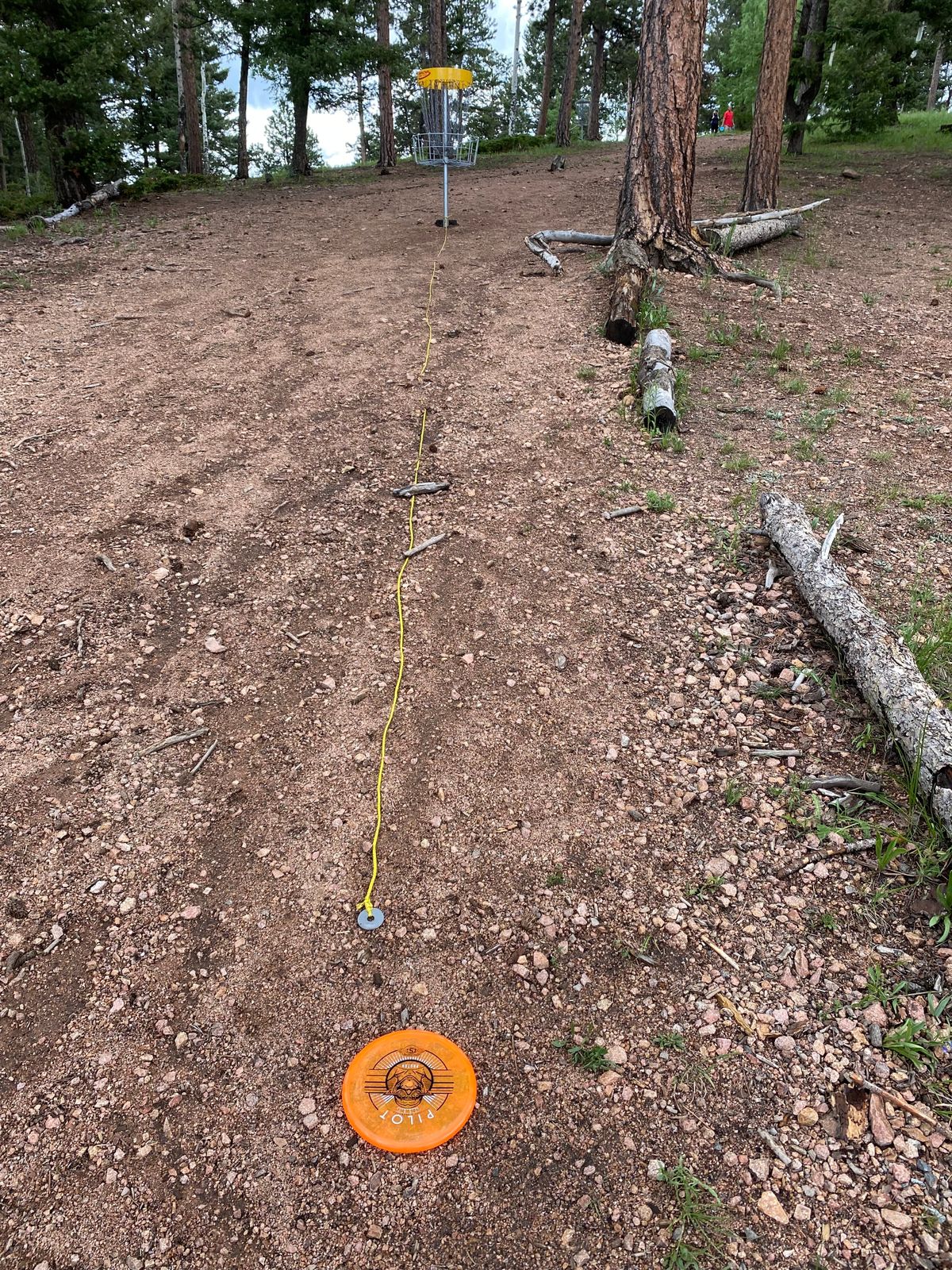 Tees on main course have (probably circle 1) measuring strings attached!  Excellent addition.