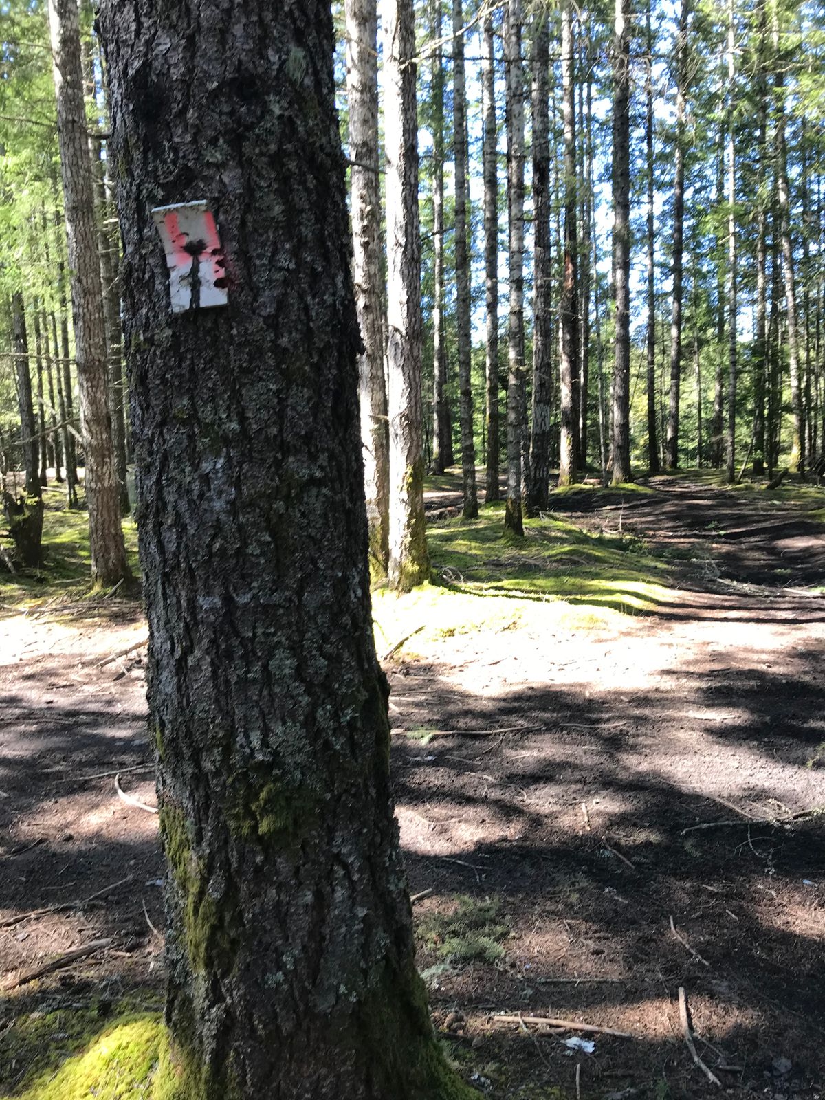 Rustic courses maps available at comix valley disc golf website