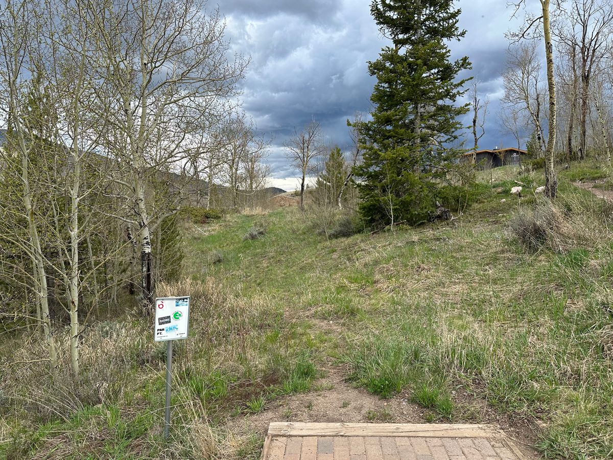 Hole 6 Tee