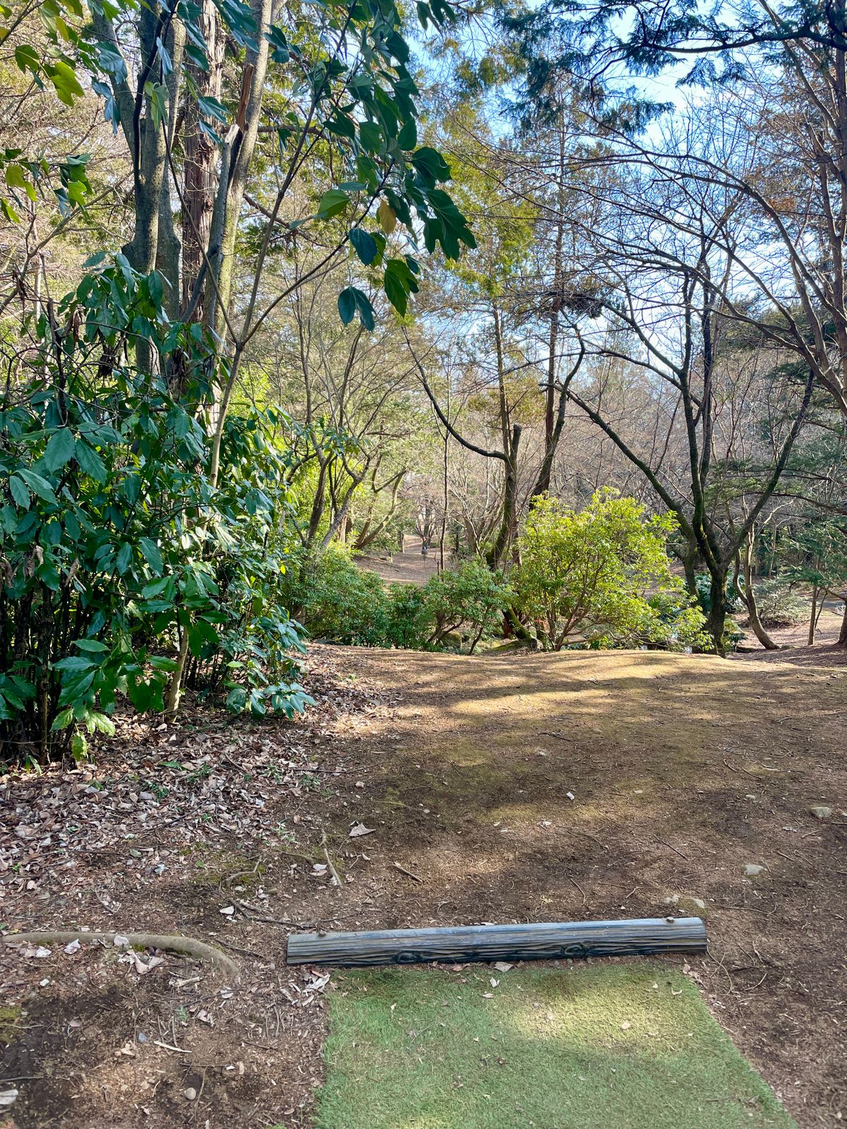No. 6 Par 3 60m
