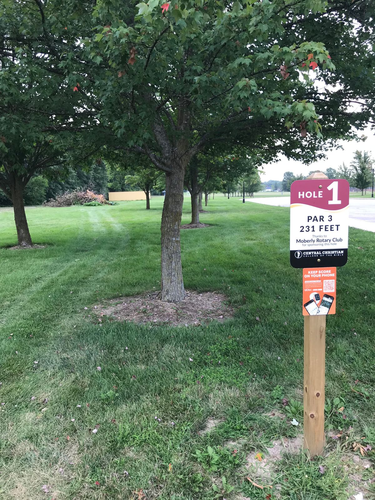 Hole #1 tee area