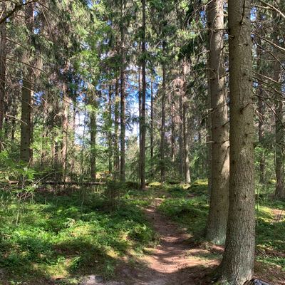 Väylä 3