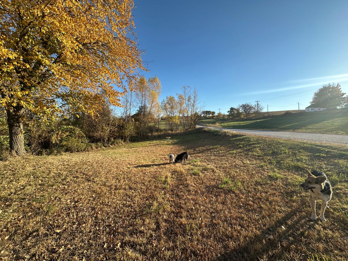 Hole 9 long pin