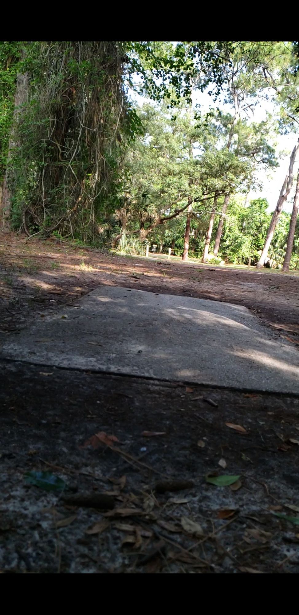 Hole 4
