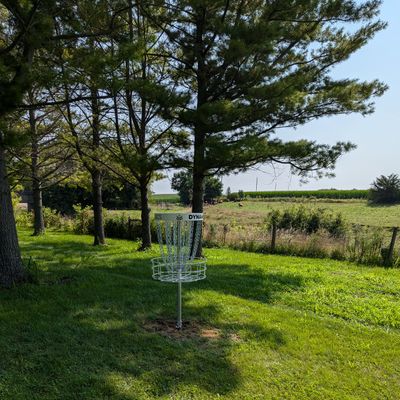 Hole 7, overlooking the cattle pasture