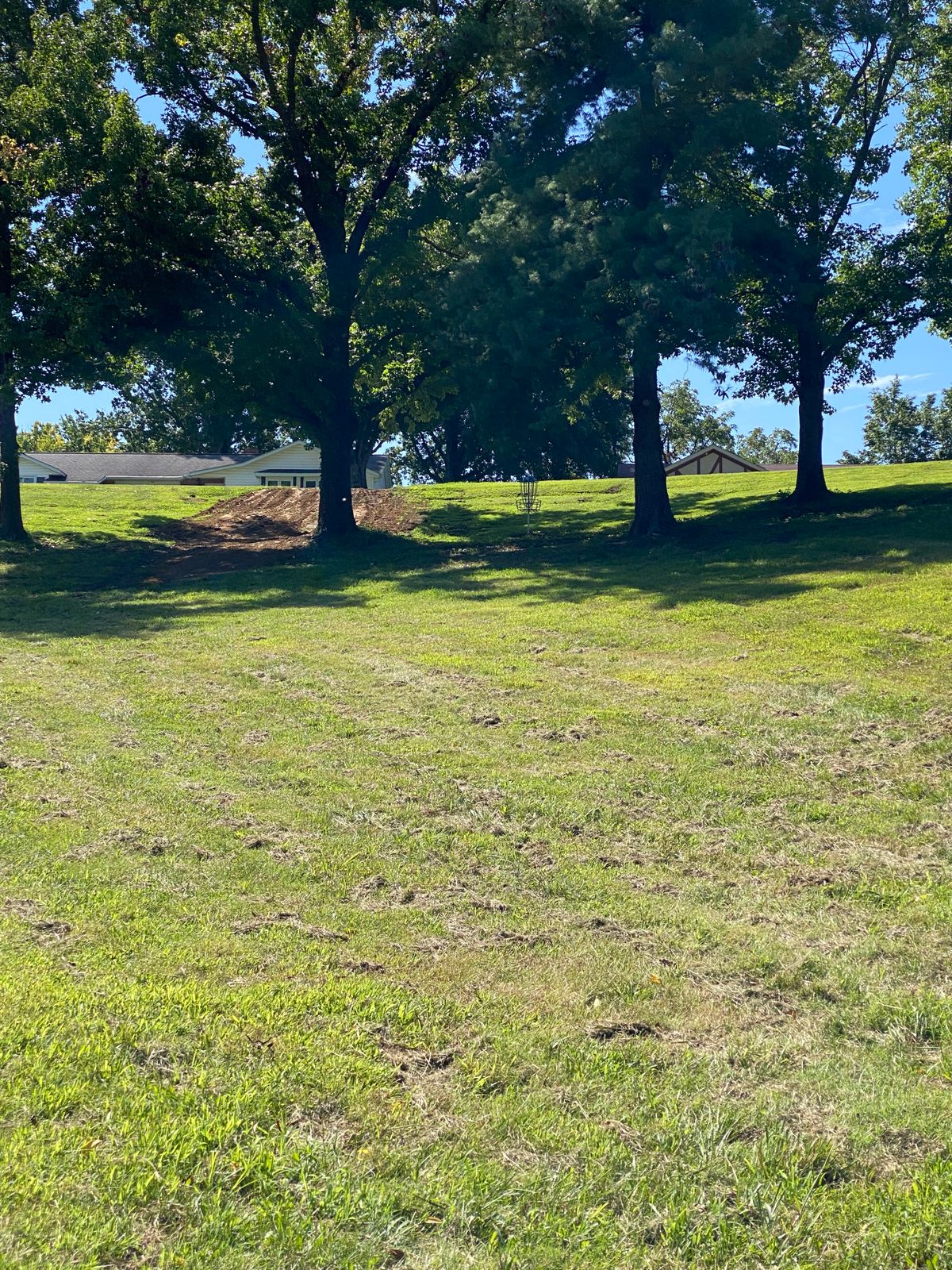 15 fairway