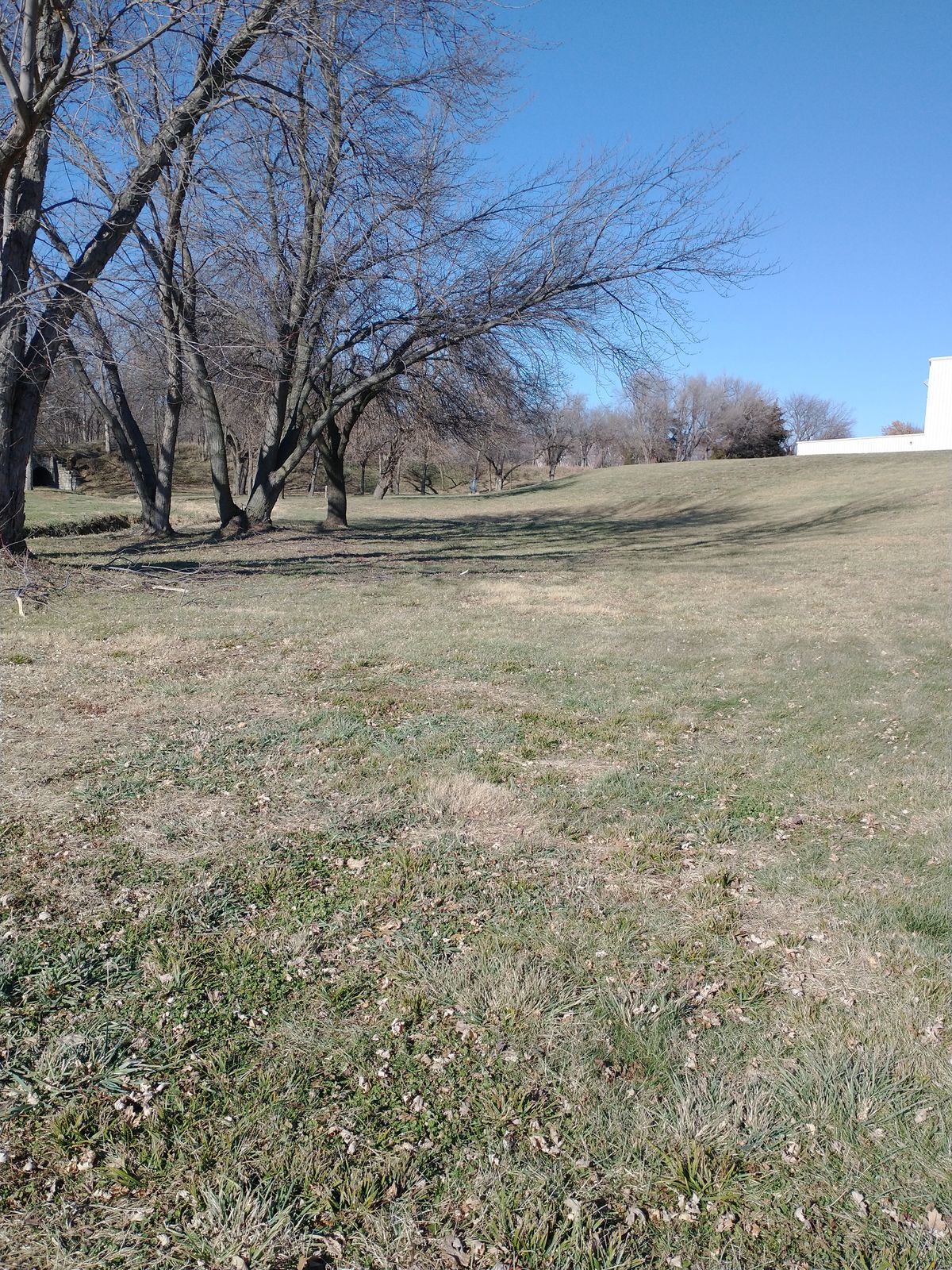 Hole 4 Fairway